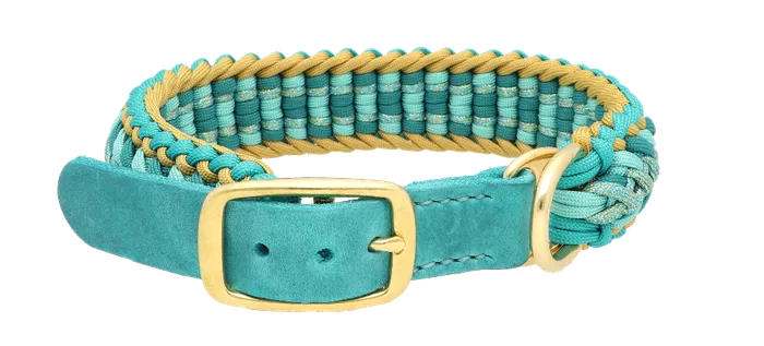 Blue adjustable collar with gold details with a leather adapter as closure