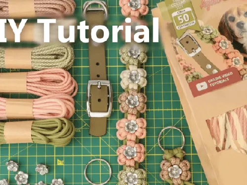 Make a Flower Paracord dog collar | DIY kit instructions