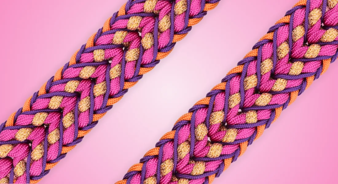 Paracord for Pets - Herringbone Rainbow I think one of my 𝕄𝕠𝕤𝕥  𝕗𝕒𝕧𝕠𝕣𝕚𝕥𝕖 color combinations of all time! ➡️ Goes best with a  #MERLE, a, #BLACK or any other color #dog you