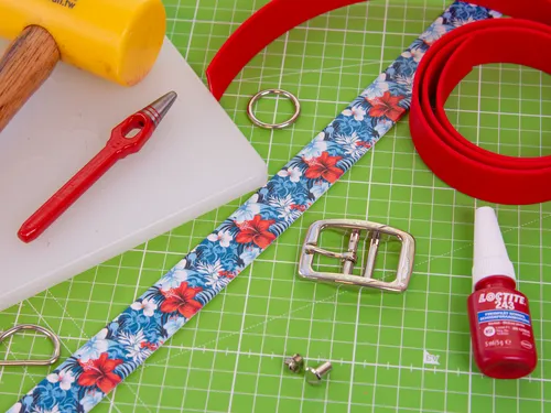 Shopping list: a budgetproof BioThane® dog collar and dog leash