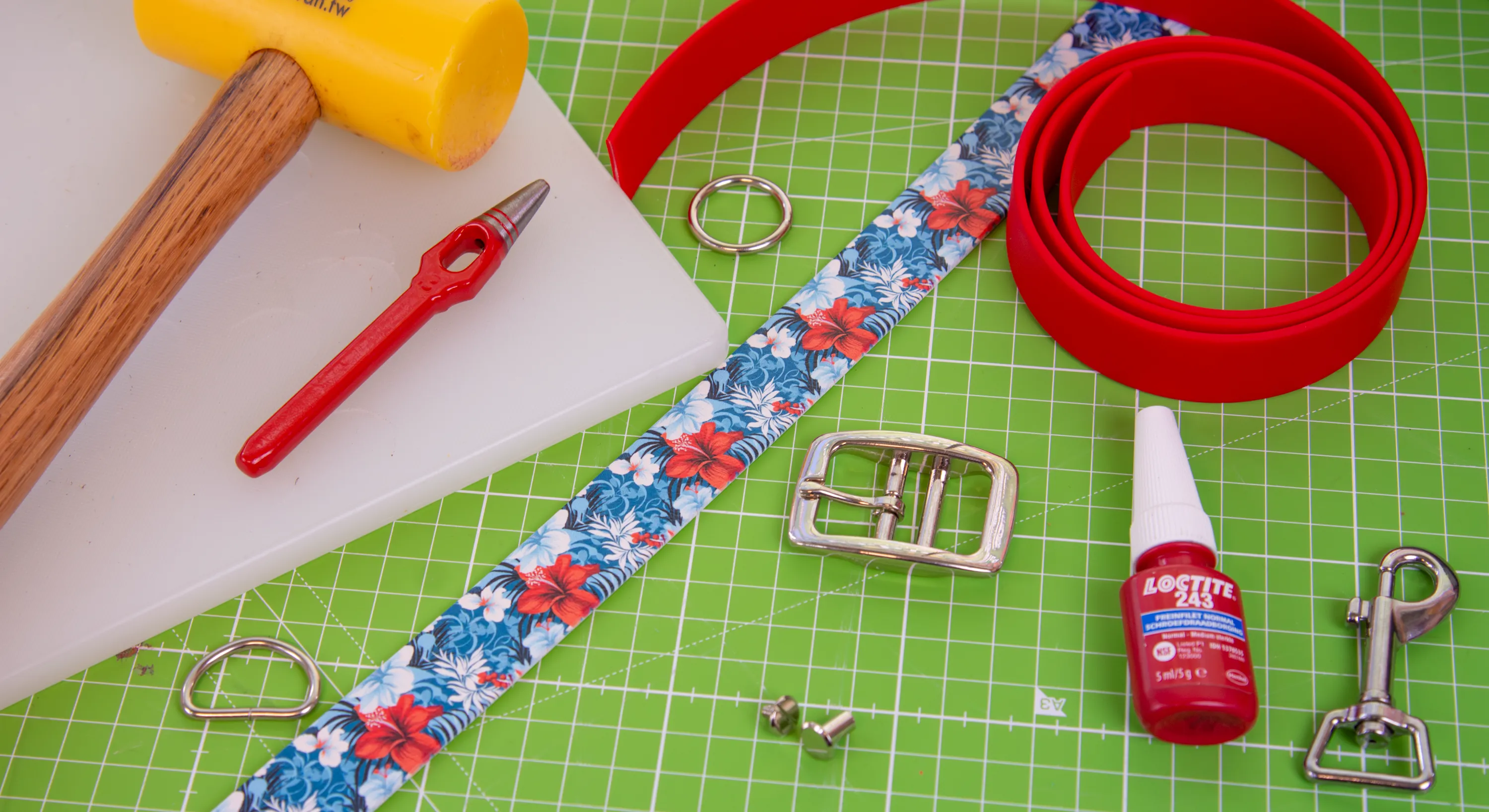 Shopping list: a budgetproof BioThane® dog collar and dog leash