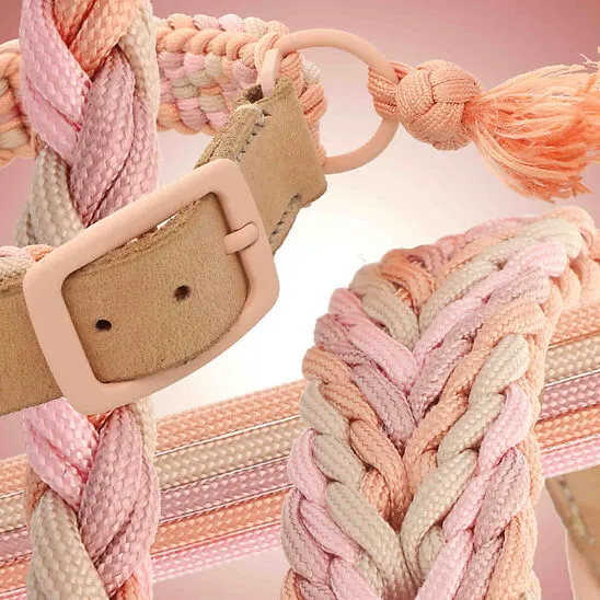 Paracord dog collar and leash in pastel colours