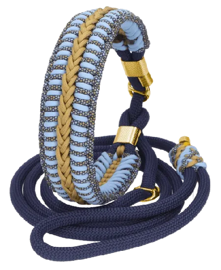 Double stop slip leash in blue and gold