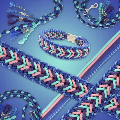 Leash and collar in blue, pink and purple