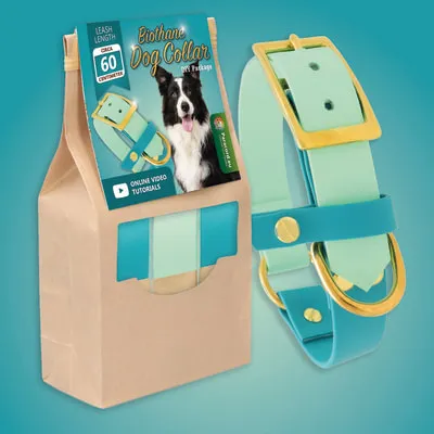 DIY kit for two tone biothane collar for dogs and the made collar next to it