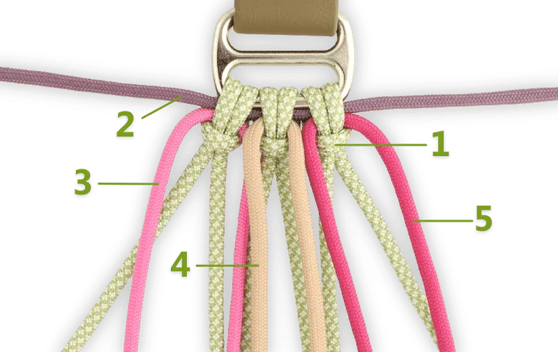 Five different ropes together as start for a paracord collar