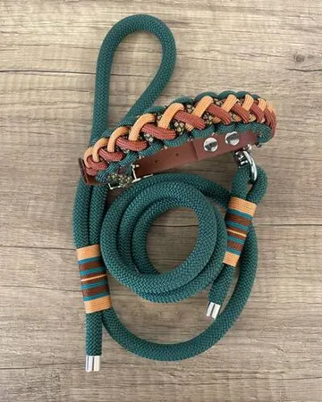 A green and brown dog leash by Daria