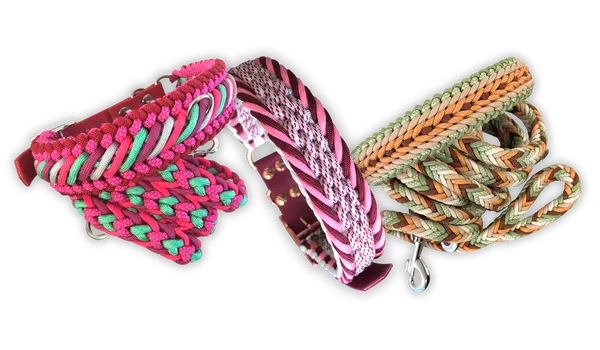 Several paracord dog leashes and collars in different colours