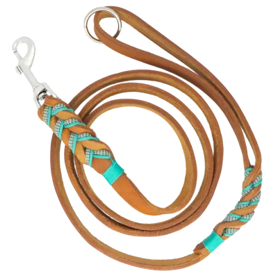 Brown leather dog lead decorated with blue paracord