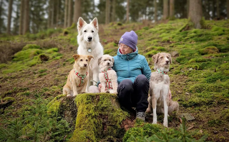 Louise de Bruyne and her four dogs in a forest