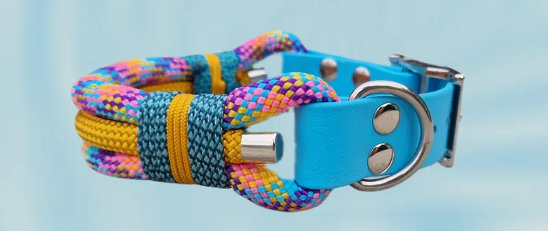 Collar of rope and biothane in blue and yellow