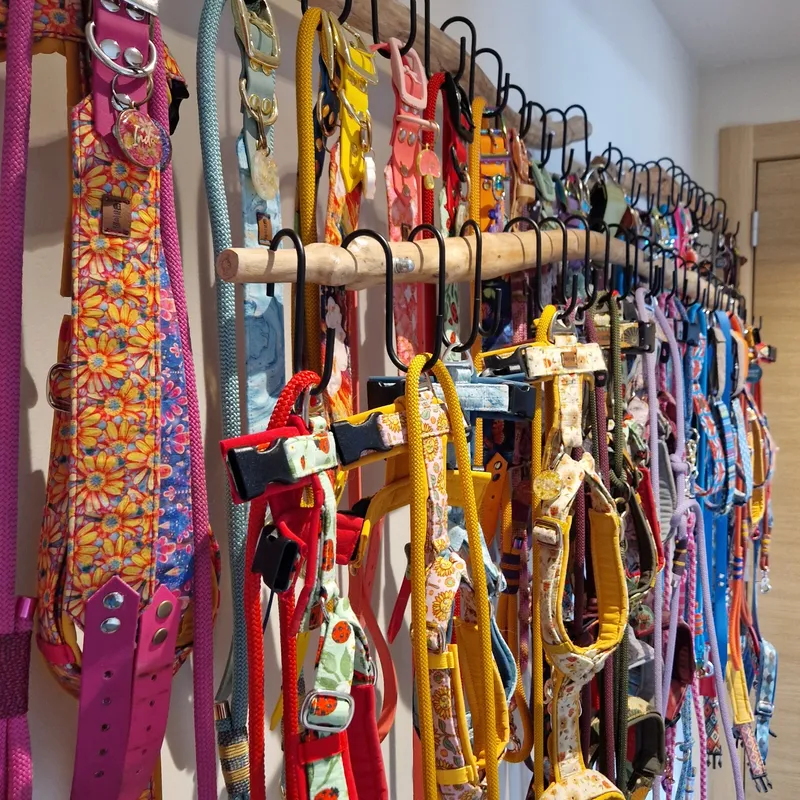 Collection of homemade harnesses, collars and dog leads for Louise's own dogs