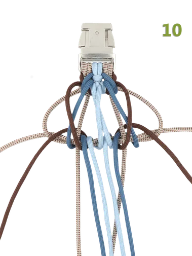 paracord dog leash